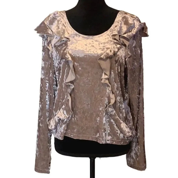 NEW The Vanity Room Size Small Pink Ruffle Long Sleeve Velvet Top - Picture 1 of 4